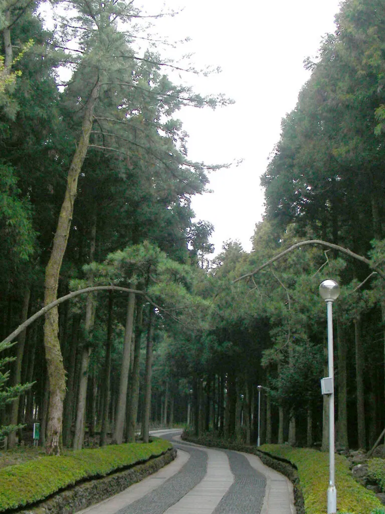 To the nature…